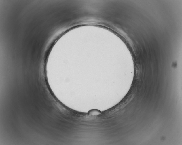 X0000116421464201001191440