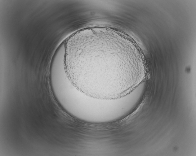 X0000116421465201001191440