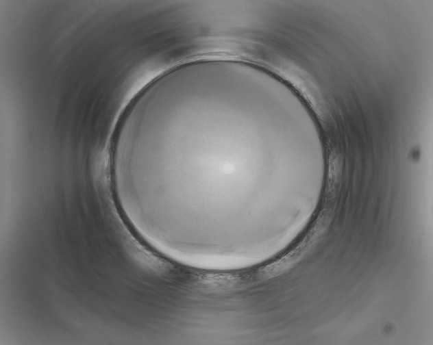 X0000116421466201001191440