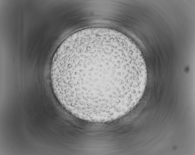 X0000116421467201001191440