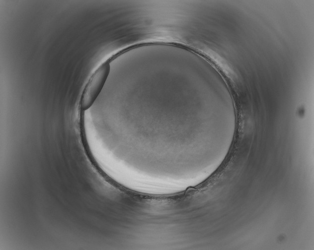 X0000116421468201001191440