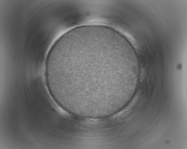 X0000116421470201001191440
