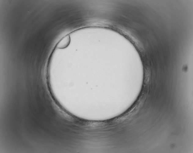 X0000116421471201001191440