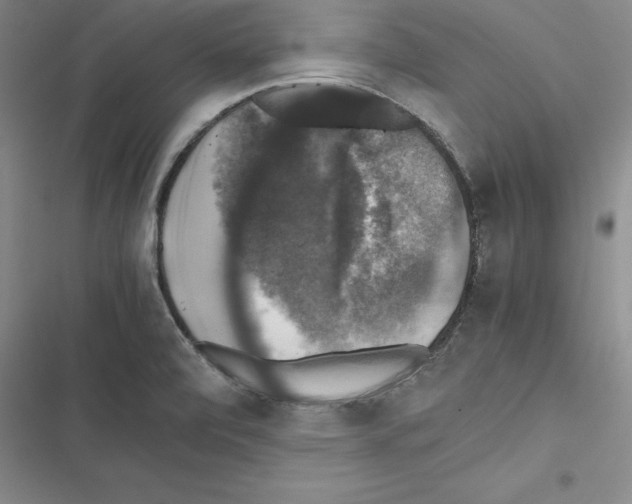X0000116421472201001191440