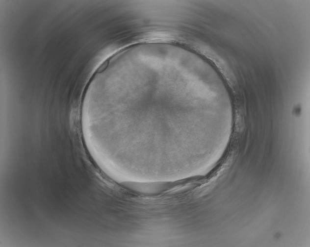 X0000116421473201001191440