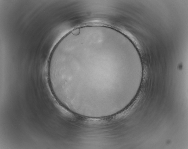 X0000116421474201001191440