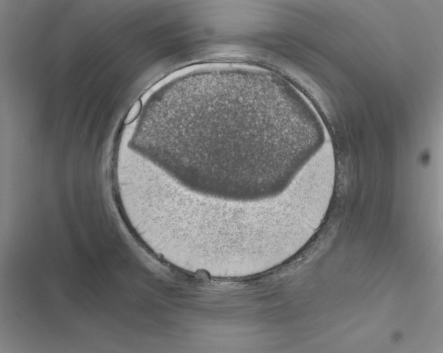 X0000116421475201001191439