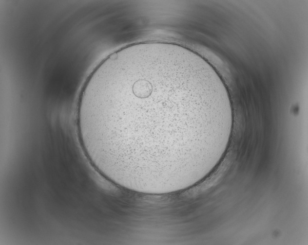 X0000116421478201001191439