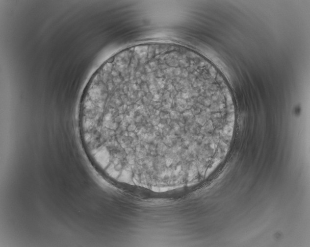 X0000116421482201001191439