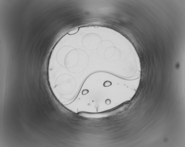 X0000116421483201001191439