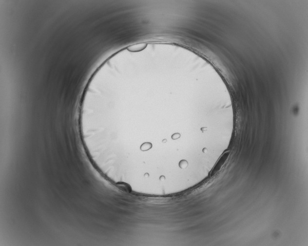 X0000116421484201001191439