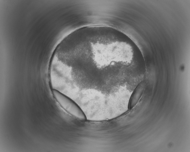 X0000116421485201001191439