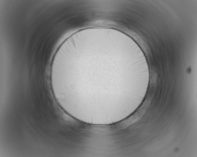 X0000116421486201001191439