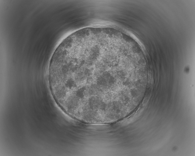 X0000116421487201001191439