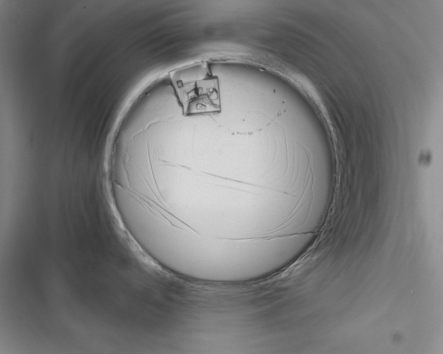 X0000116421488201001191439