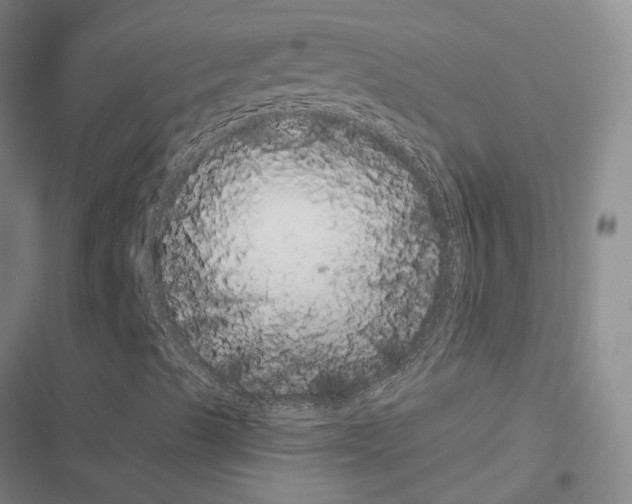 X0000116421489201001191439