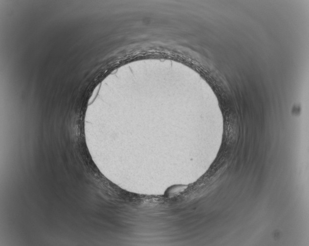 X0000116421490201001191439