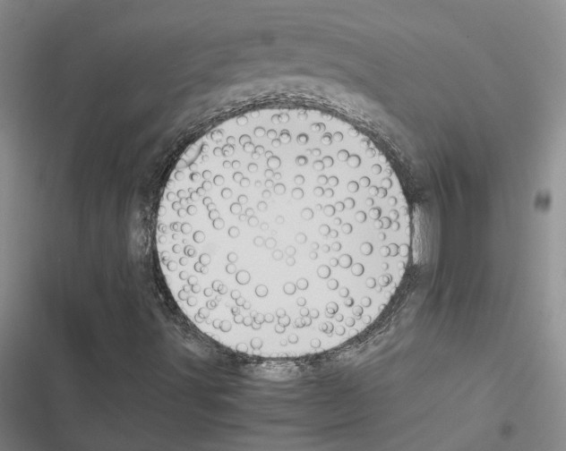 X0000116421491201001191439