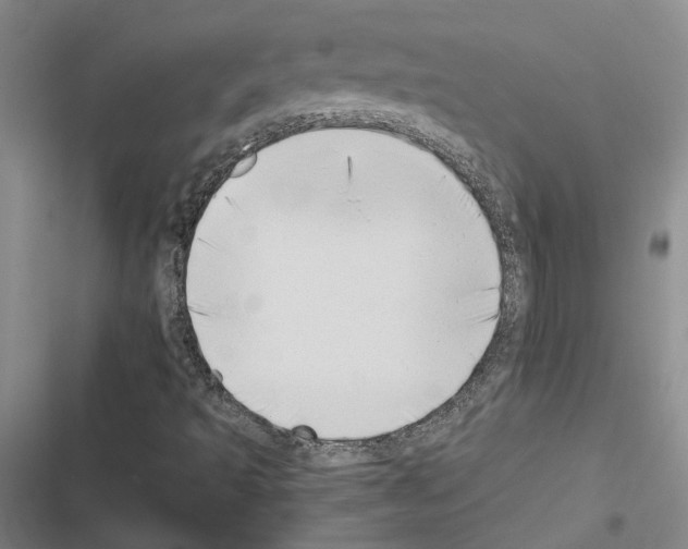 X0000116421493201001191439