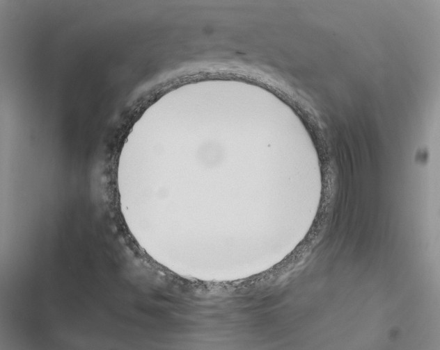 X0000116421494201001191439
