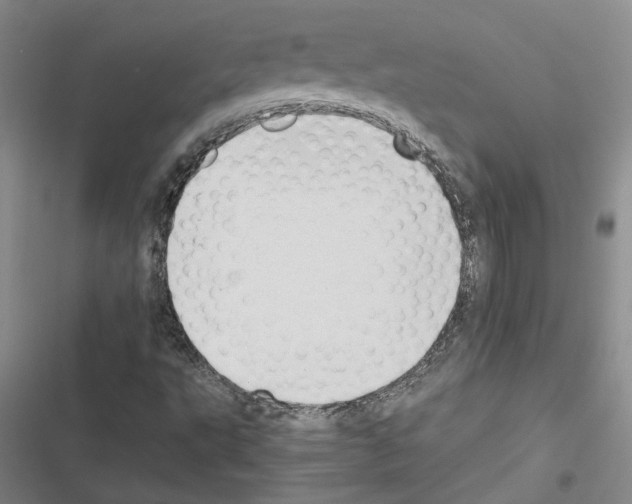 X0000116421495201001191439