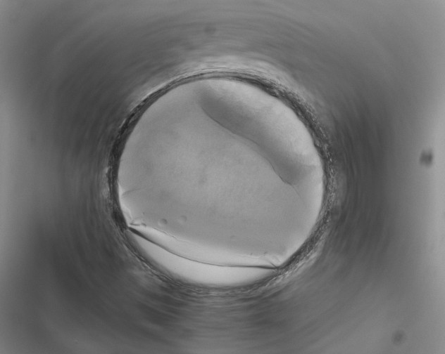 X0000116421497201001191439