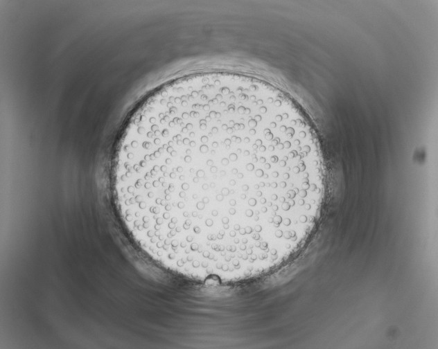 X0000116421499201001191439