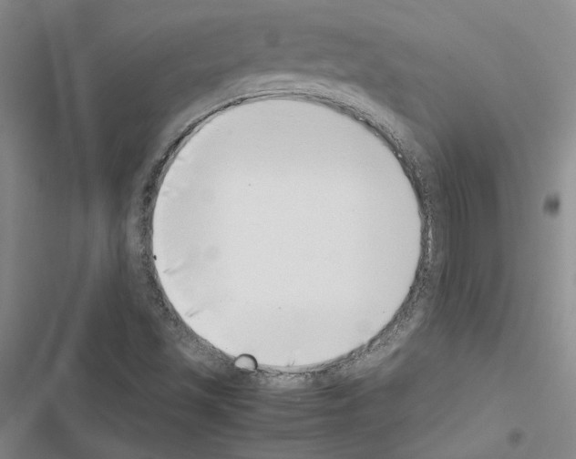 X0000116421501201001191439