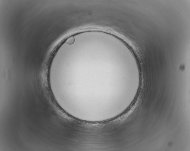 X0000116421502201001191439