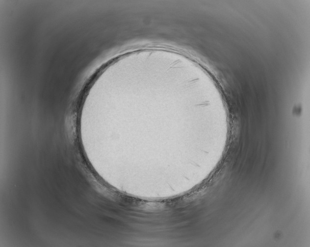 X0000116421503201001191439