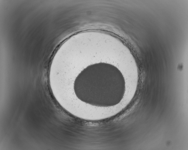 X0000116421505201001191439