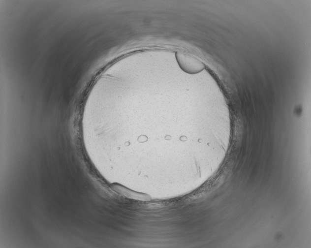 X0000116421507201001191439