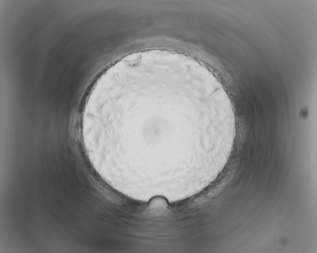 X0000116421509201001191439