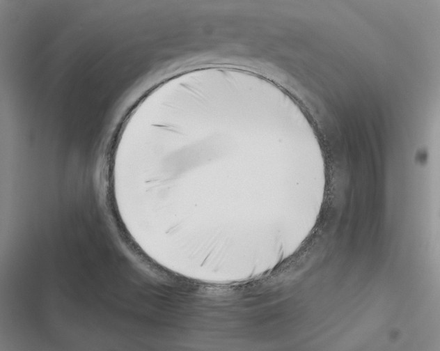 X0000116421511201001191439