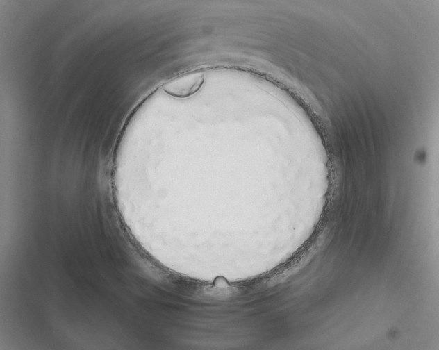 X0000116421513201001191439