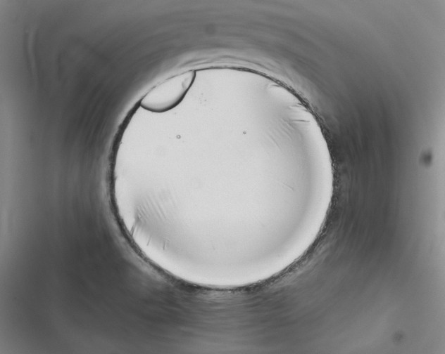 X0000116421518201001191439