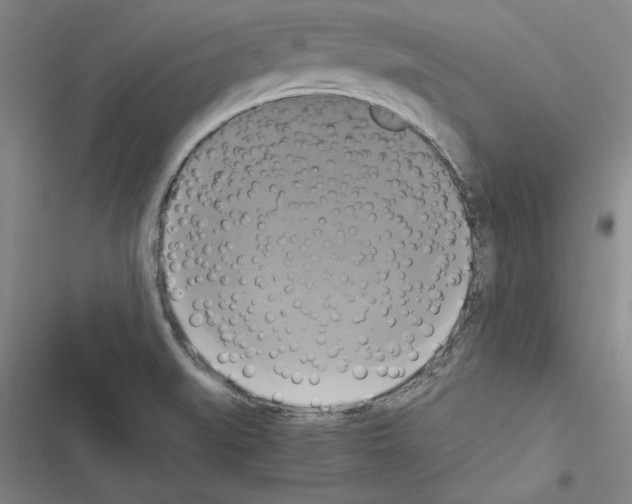 X0000116421519201001191439