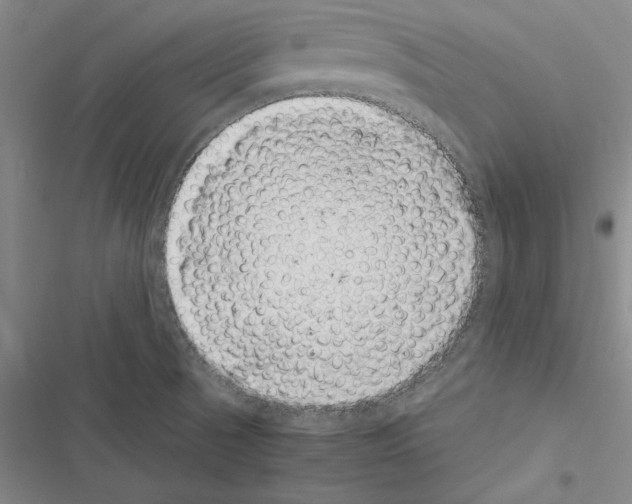 X0000116421521201001191439