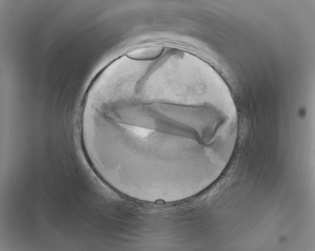 X0000116421522201001191439
