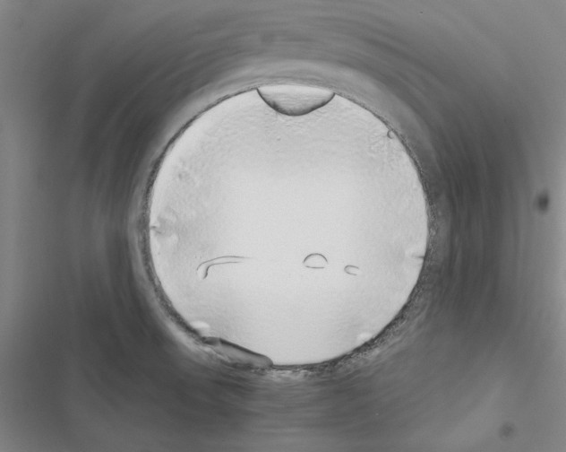 X0000116421523201001191439
