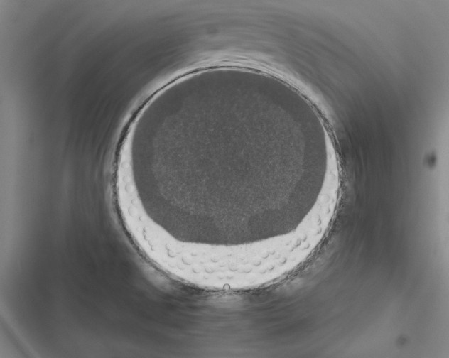 X0000116421525201001191439