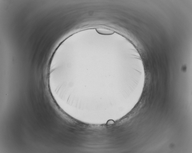 X0000116421526201001191439