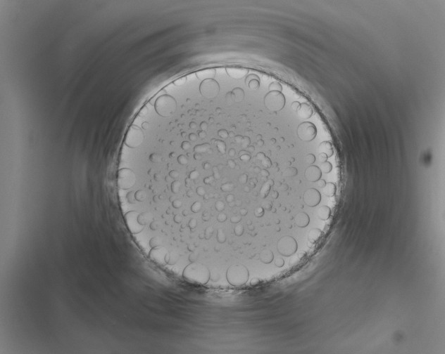 X0000116421529201001191439