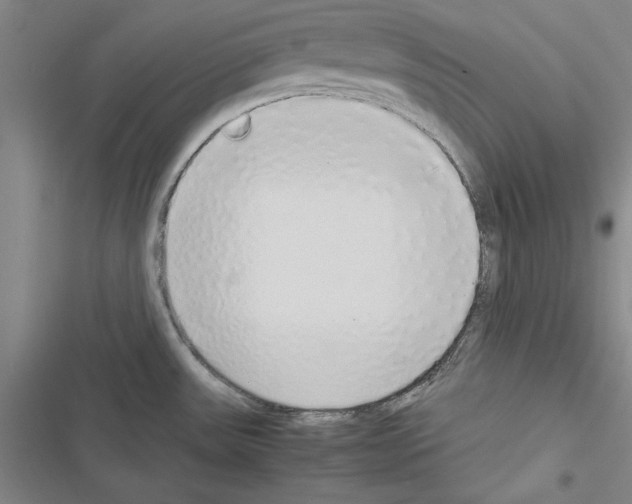 X0000116421531201001191439