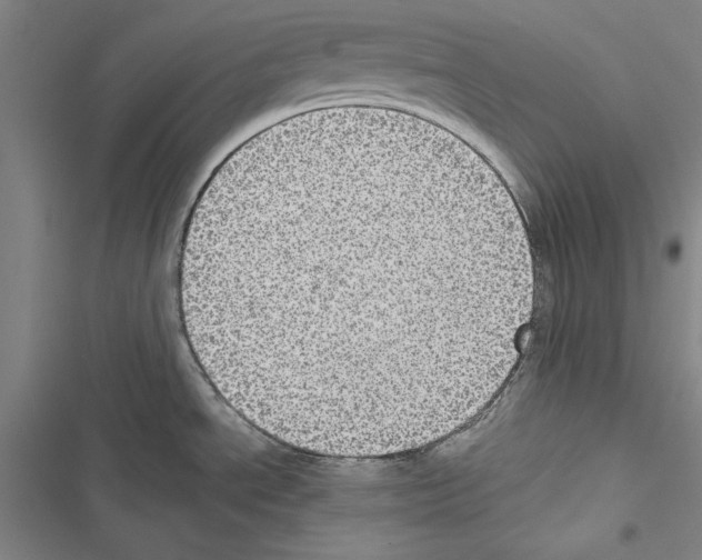 X0000116421534201001191439