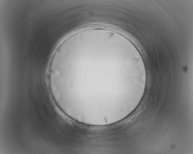 X0000116421535201001191439