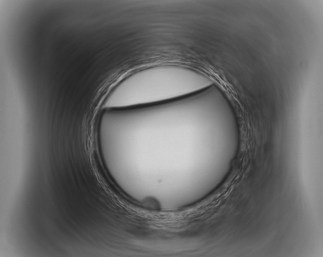 X0000116430002200912081230