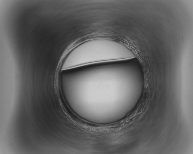 X0000116430004200912081230