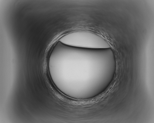 X0000116430005200912081230