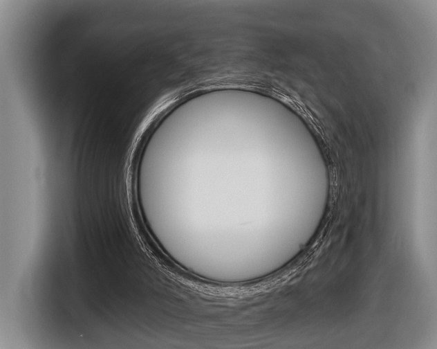 X0000116430006200912081230